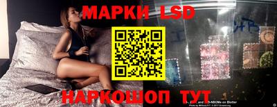 Альфа ПВП Будённовск