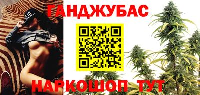 крисы Бузулук