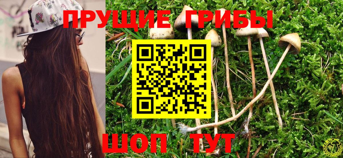 Псилоцибиновые грибы ЛСД Сунжа