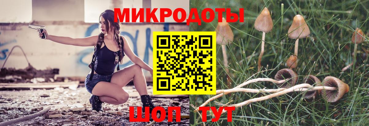 купить наркотик  Галлюциногенные грибы мицелий  Вход с VPN  Галлюциногенные грибы Magic Shrooms  Сунжа 